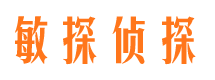 安陆市场调查